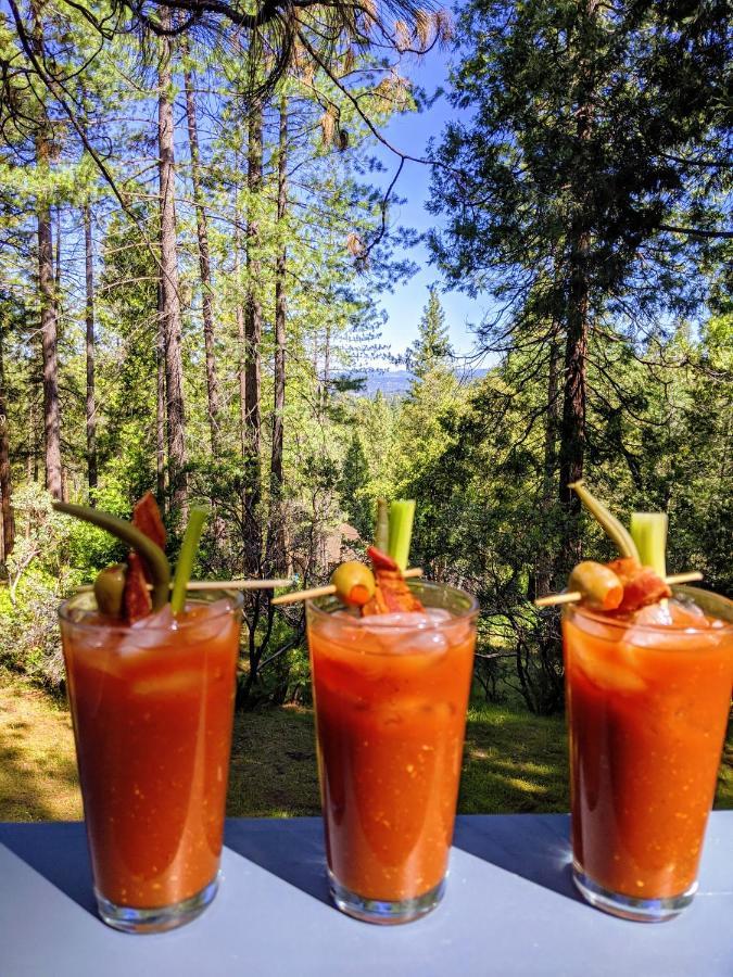 Breckenridge Chalet Near Yosemite. Dog Friendly! Groveland Εξωτερικό φωτογραφία