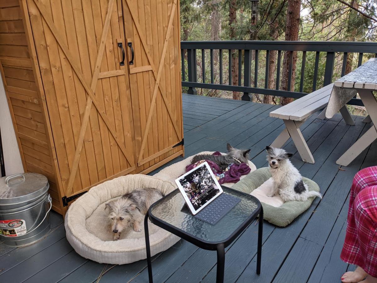 Breckenridge Chalet Near Yosemite. Dog Friendly! Groveland Εξωτερικό φωτογραφία